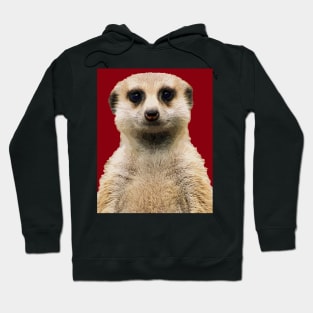 meerkat Hoodie